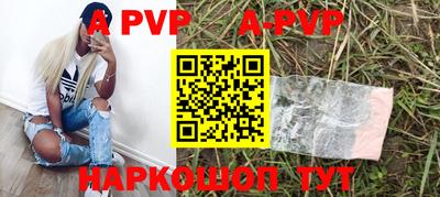 дурь Кингисепп