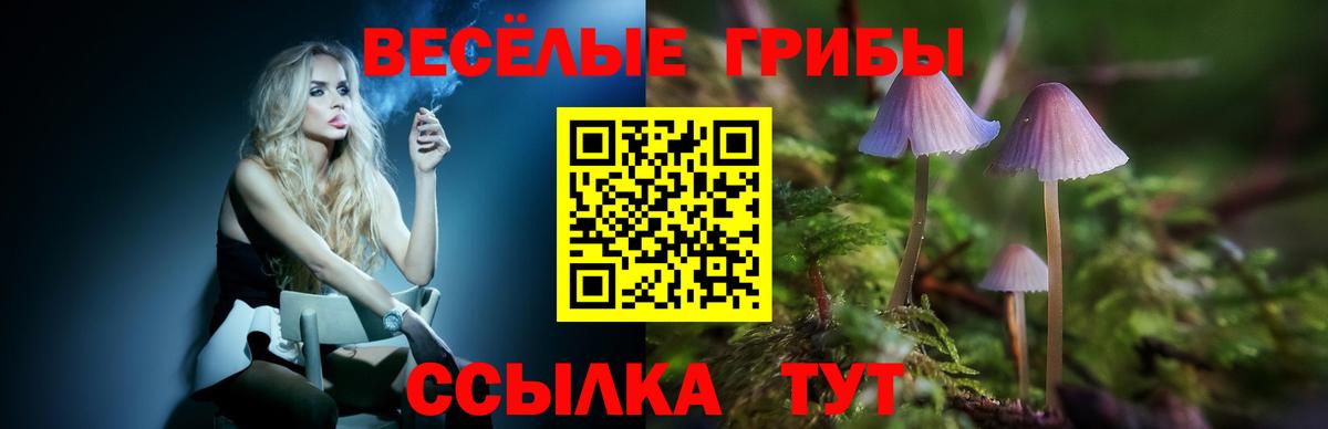 Псилоцибиновые грибы Magic Shrooms Усть-Джегута